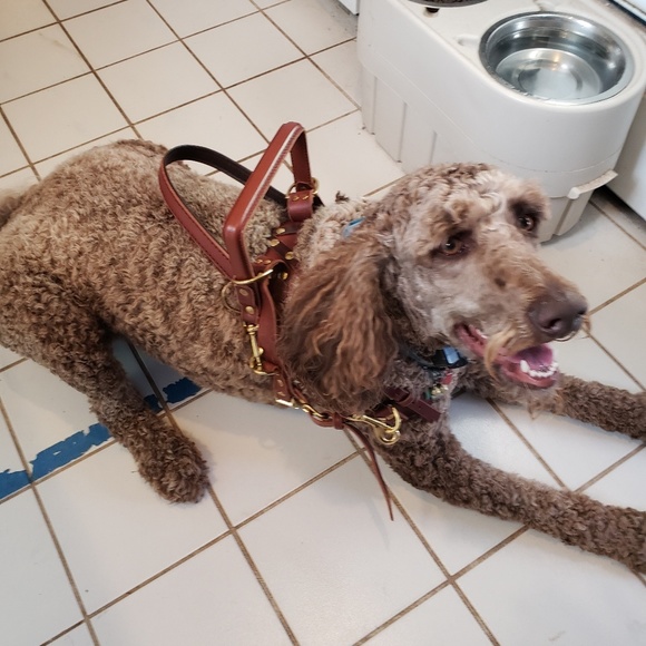 Hi, I'm Merry & a Plus size Posher here! 💃👗💄 - Picture 2 of 2